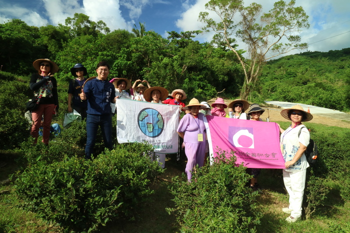 採茶合影圖片